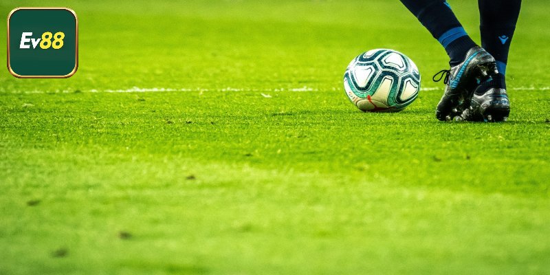 Các loại kèo phổ biến nhất