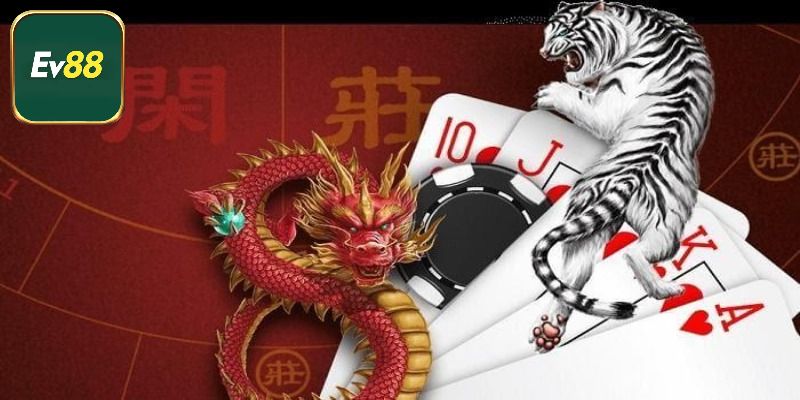 Chiến thuật cược Rồng Hổ Ev88 thắng lớn