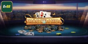 Game Bài Trác Kim Hoa - Bỏ Túi Kinh Nghiệm Cược Hiệu Quả