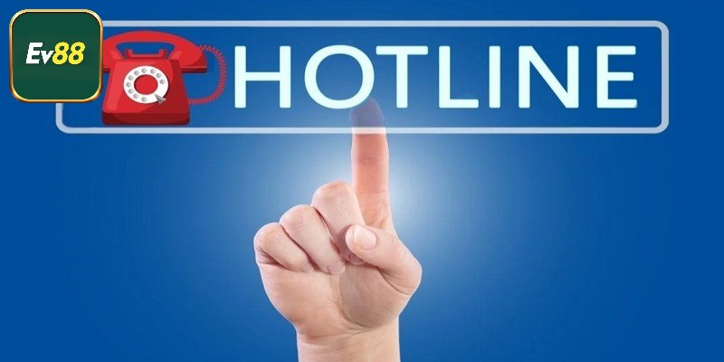 Hotline kết nối nhanh và an toàn