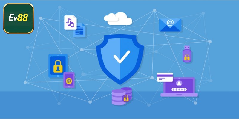 Hướng dẫn cách tìm hiểu các điều khoản