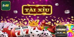 Tài Xỉu - Cách Đặt Từng Cửa Cược Hiệu Quả Từ Cao Thủ